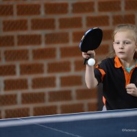 IMG_1155.jpg