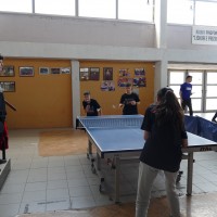 P1140778.JPG
